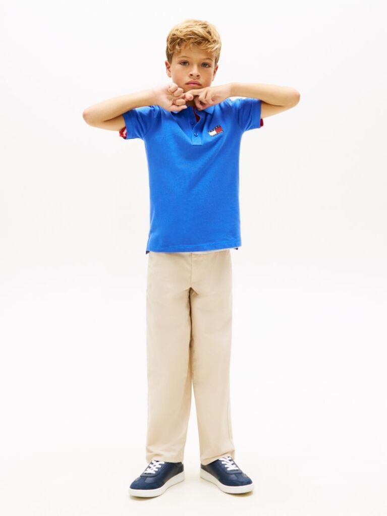 Blue Regular Fit Wavy Flag Polo Shirt  Boys