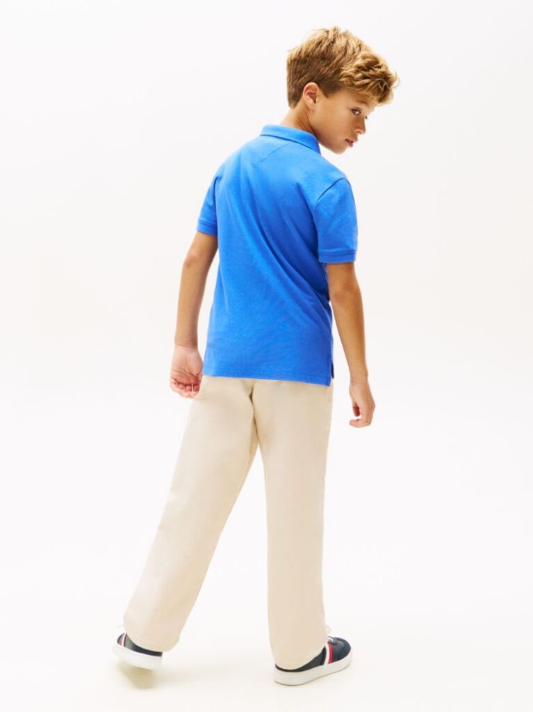 Blue Regular Fit Wavy Flag Polo Shirt  Boys