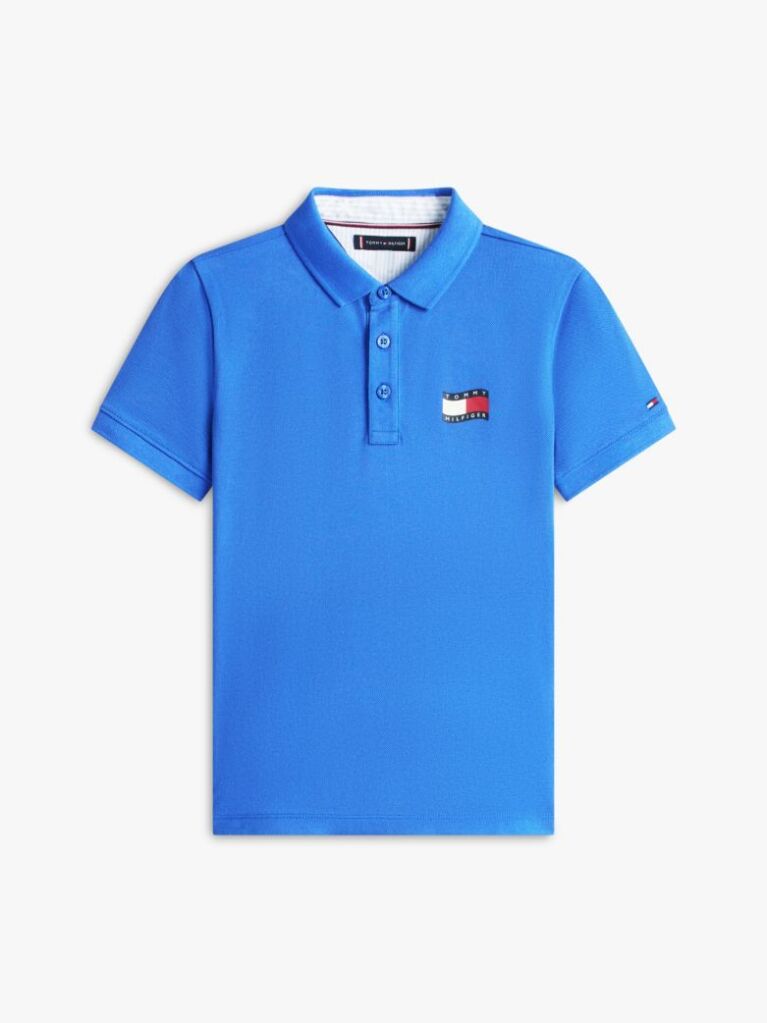 Blue Regular Fit Wavy Flag Polo Shirt  Boys