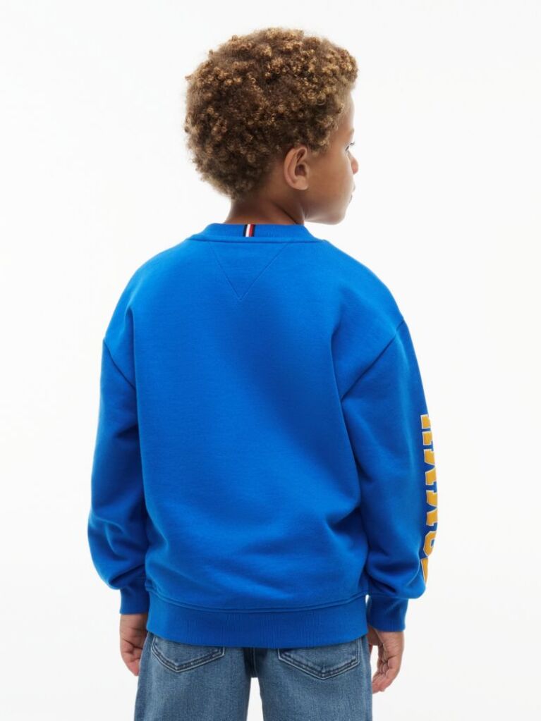 Blue Varsity Logo Sweatshirt  Boys