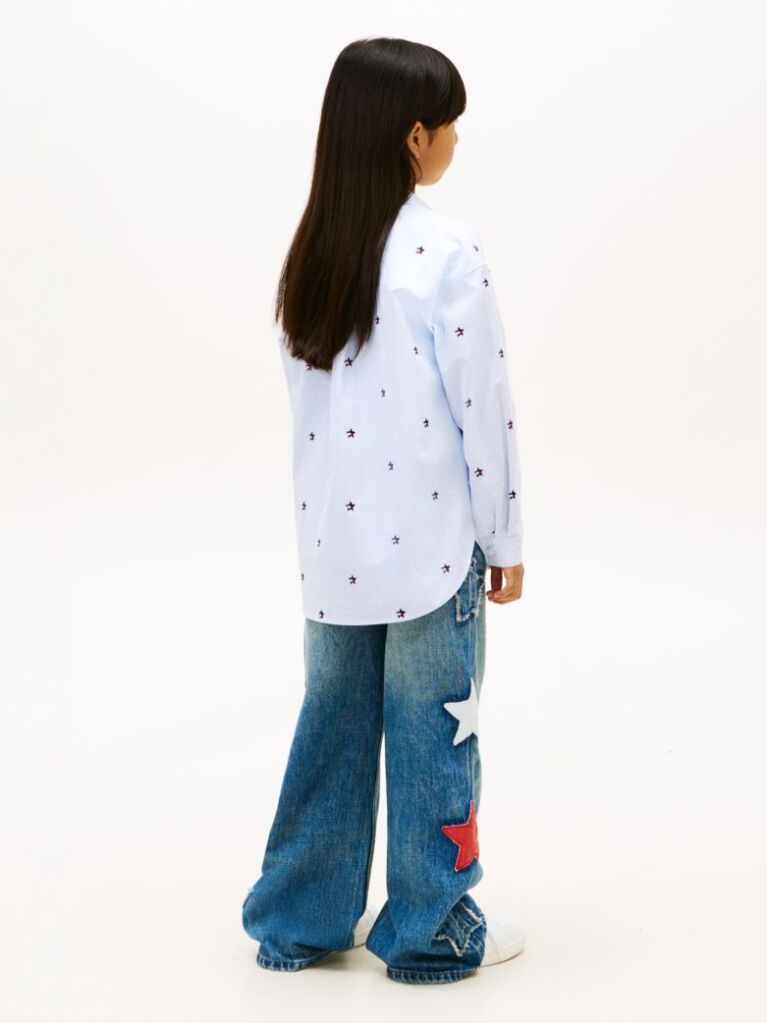 Multi Regular Fit Stripe Star Flag Embroidery Shirt  Girls