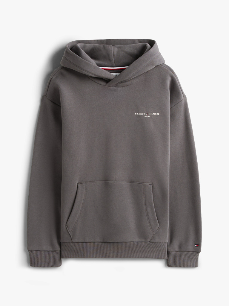 Grey Logo Regular Fleece Hoody  Kids Unisex