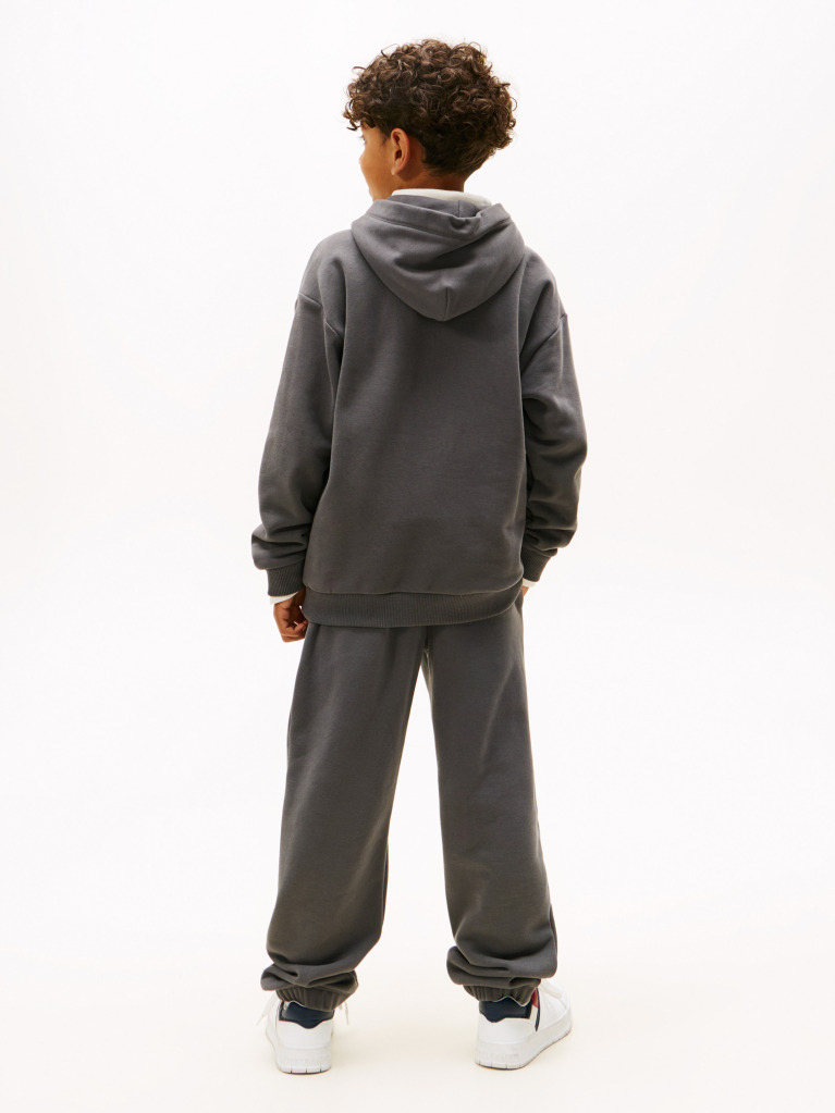 Grey Logo Regular Fleece Hoody  Kids Unisex