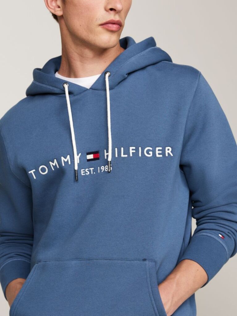 Blue Flex Logo Hoody  Men
