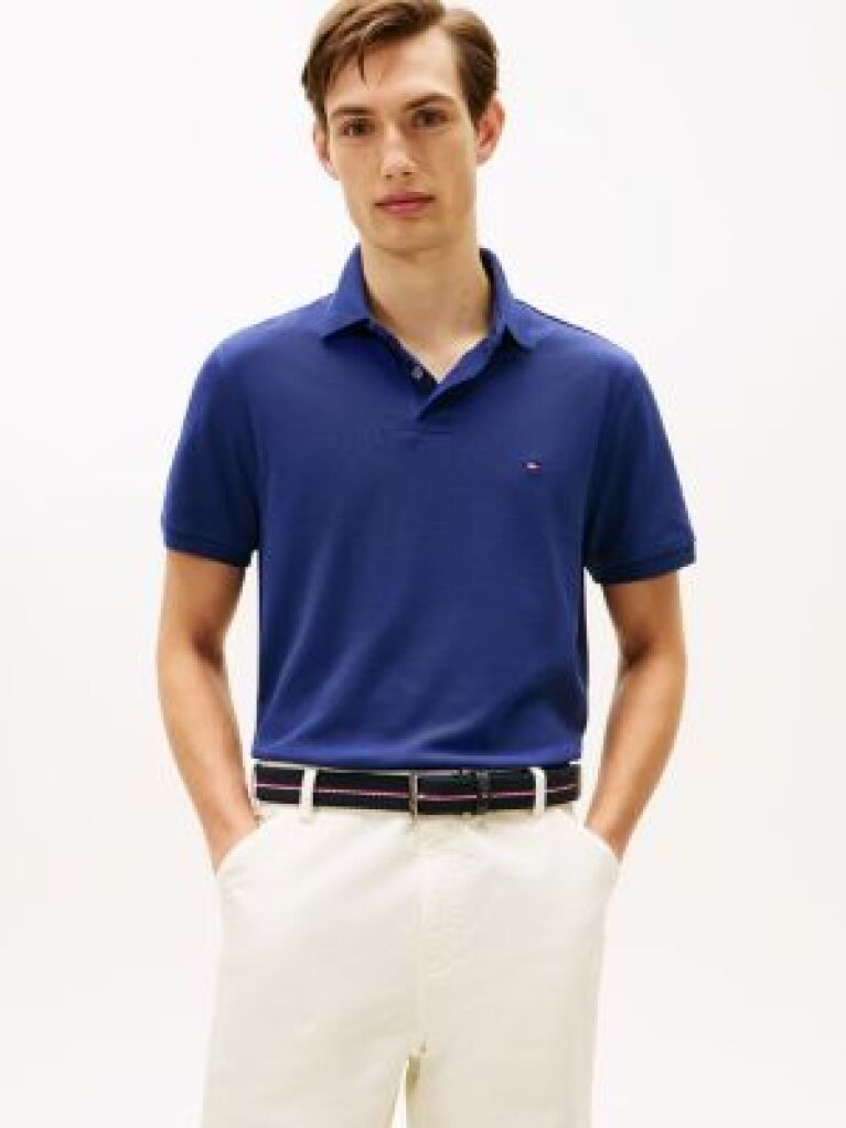 Blue 1985 Organic Cotton Regular Fit Polo  Men