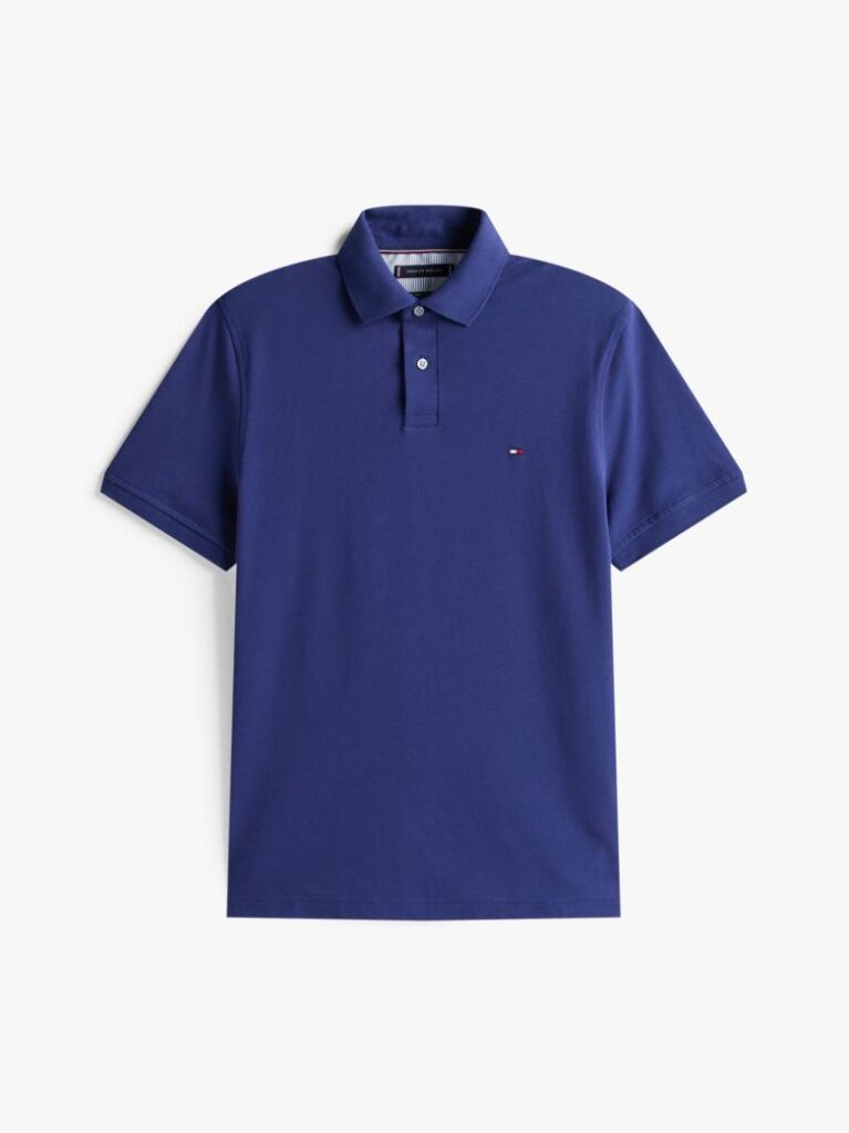 Blue 1985 Organic Cotton Regular Fit Polo  Men