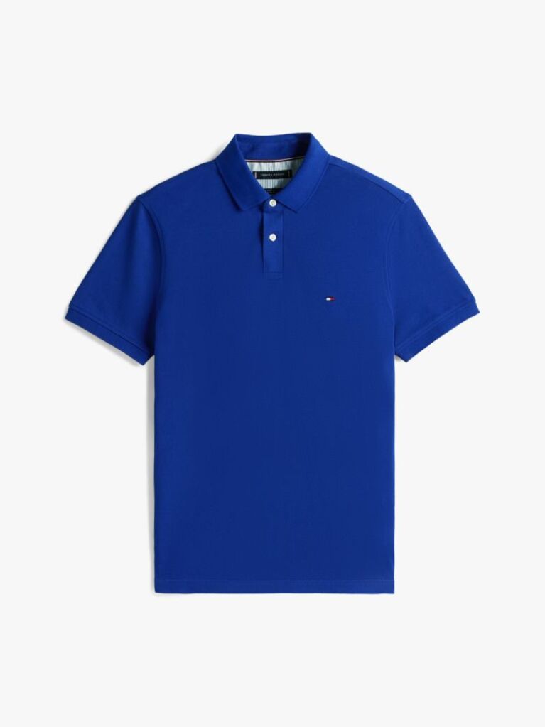 Blue 1985 Organic Cotton Regular Fit Polo  Men