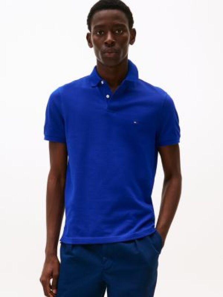 Blue 1985 Organic Cotton Regular Fit Polo  Men