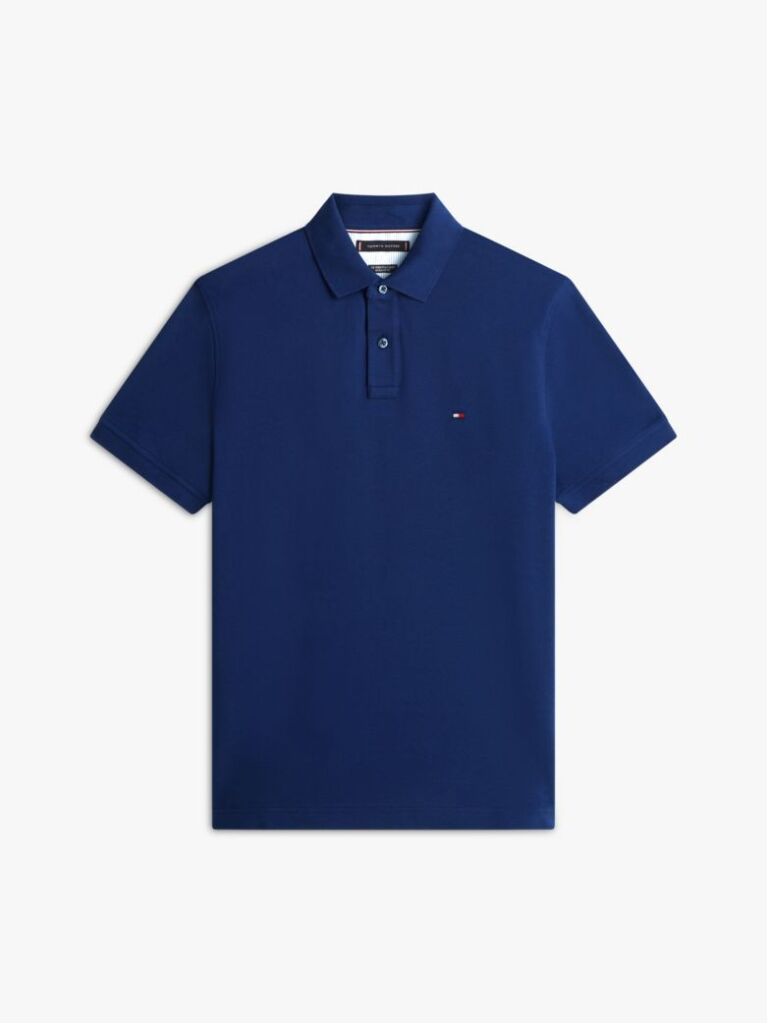 Blue 1985 Organic Cotton Regular Fit Polo  Men
