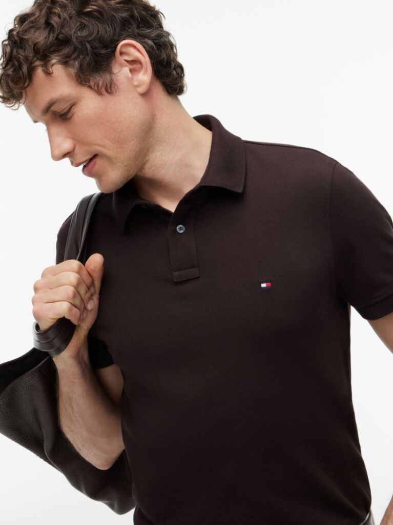 Brown 1985 Organic Cotton Regular Fit Polo  Men