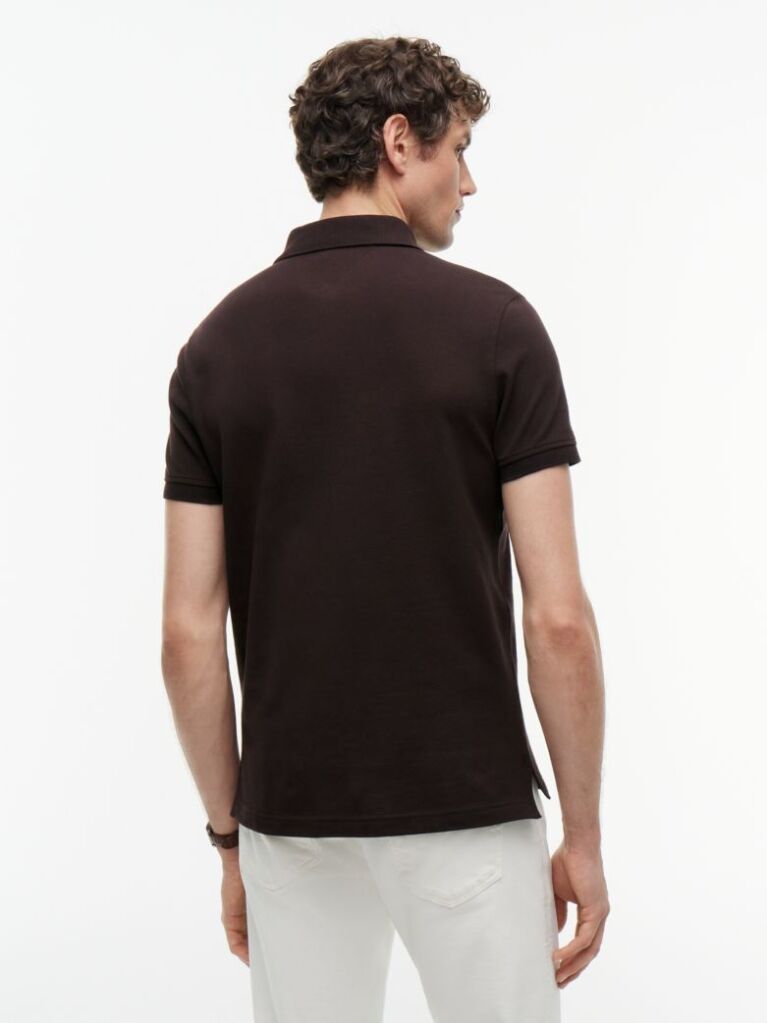 Brown 1985 Organic Cotton Regular Fit Polo  Men