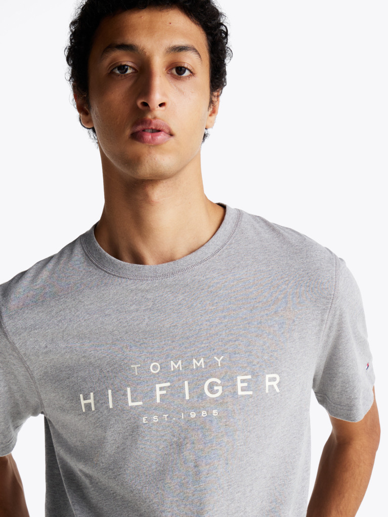 Grey Logo Crew Neck T-Shirt  Men