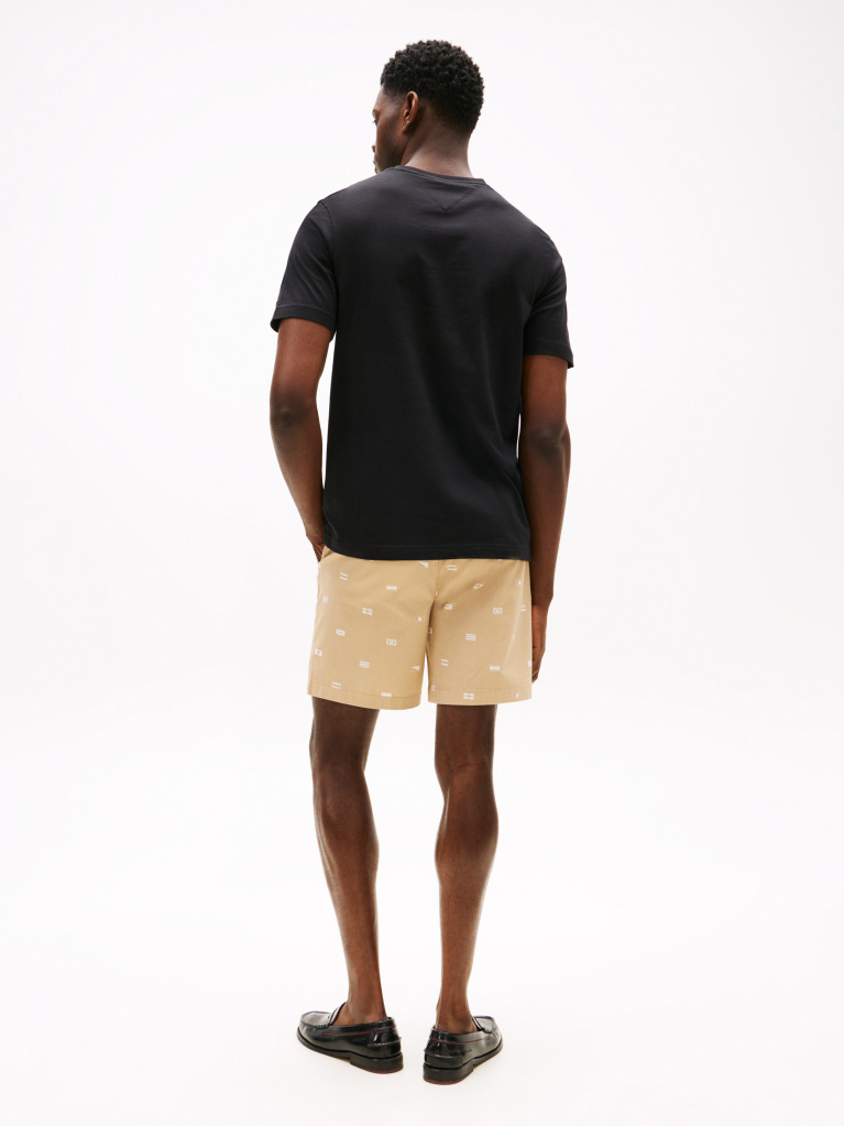 Black Ithaca Stripe Flag T-Shirt  Men