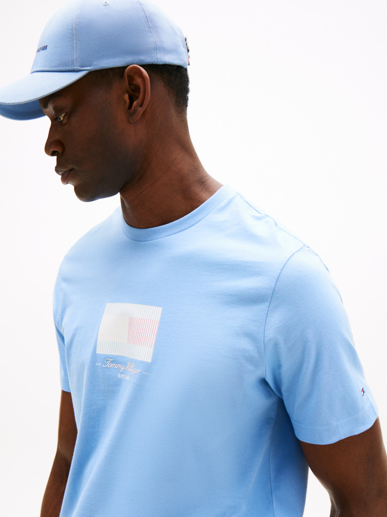 Blue Ithaca Stripe Flag T-Shirt  Men