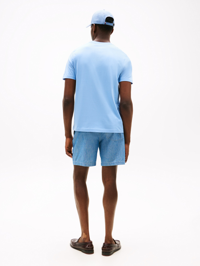 Blue Ithaca Stripe Flag T-Shirt  Men