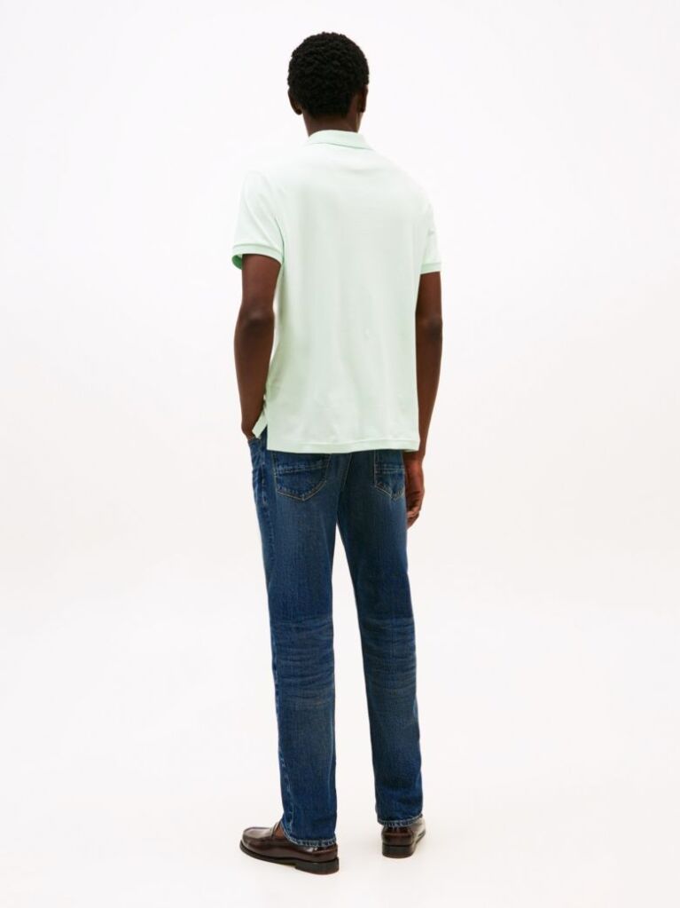 Green Regular Fit Polo Shirt  Men