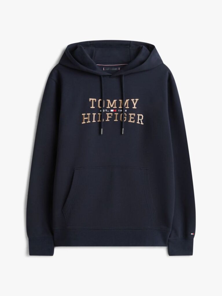 Blue Logo Graphic Hoody  Men
