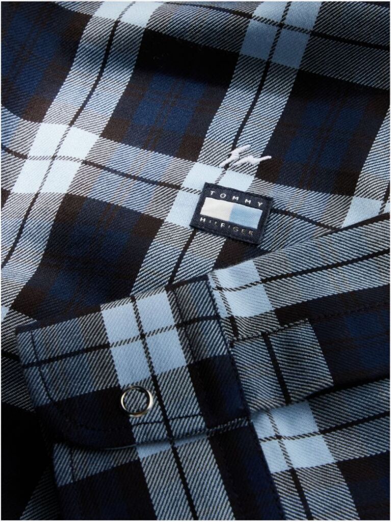 Blue Regular Fit Check Shirt  Men