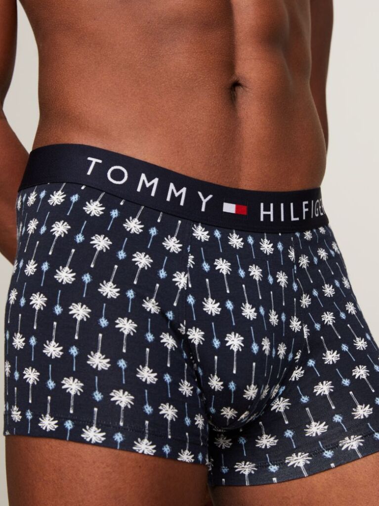 Blue Print Trunks  Men