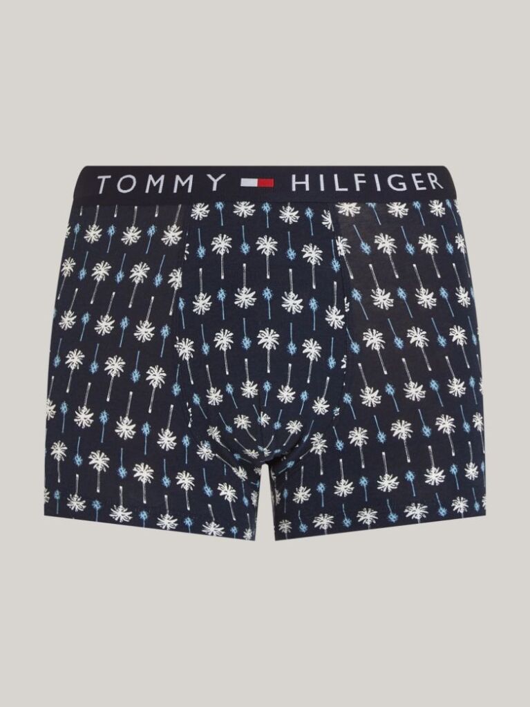 Blue Print Trunks  Men