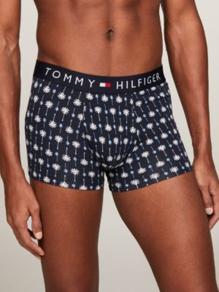 Blue Print Trunks  Men