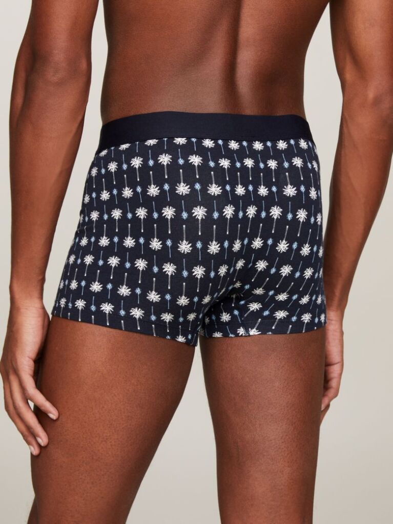 Blue Print Trunks  Men