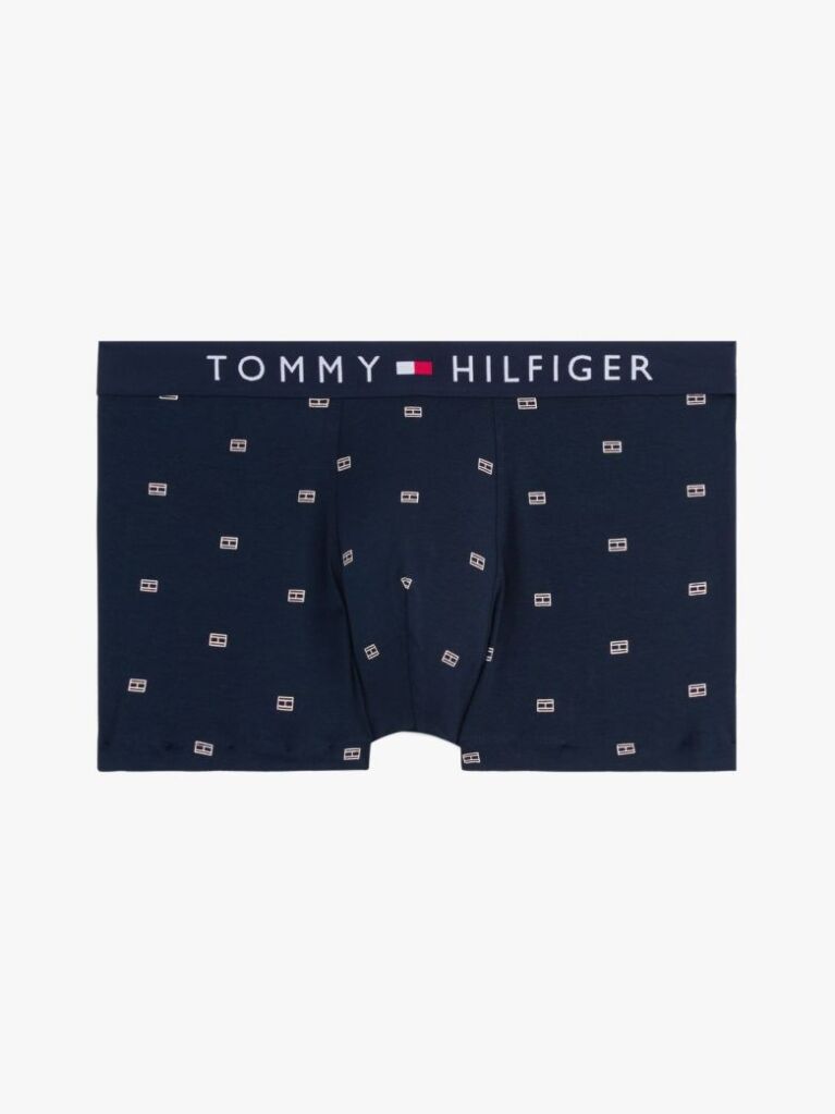 Blue Print Trunks  Men