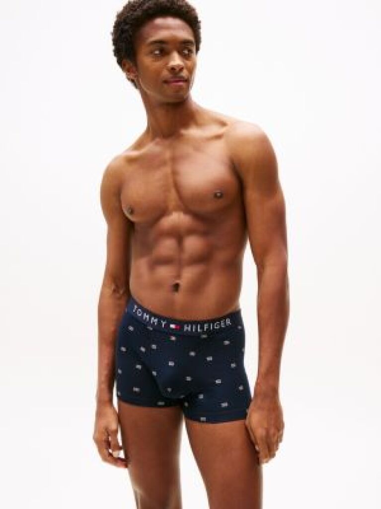 Blue Print Trunks  Men