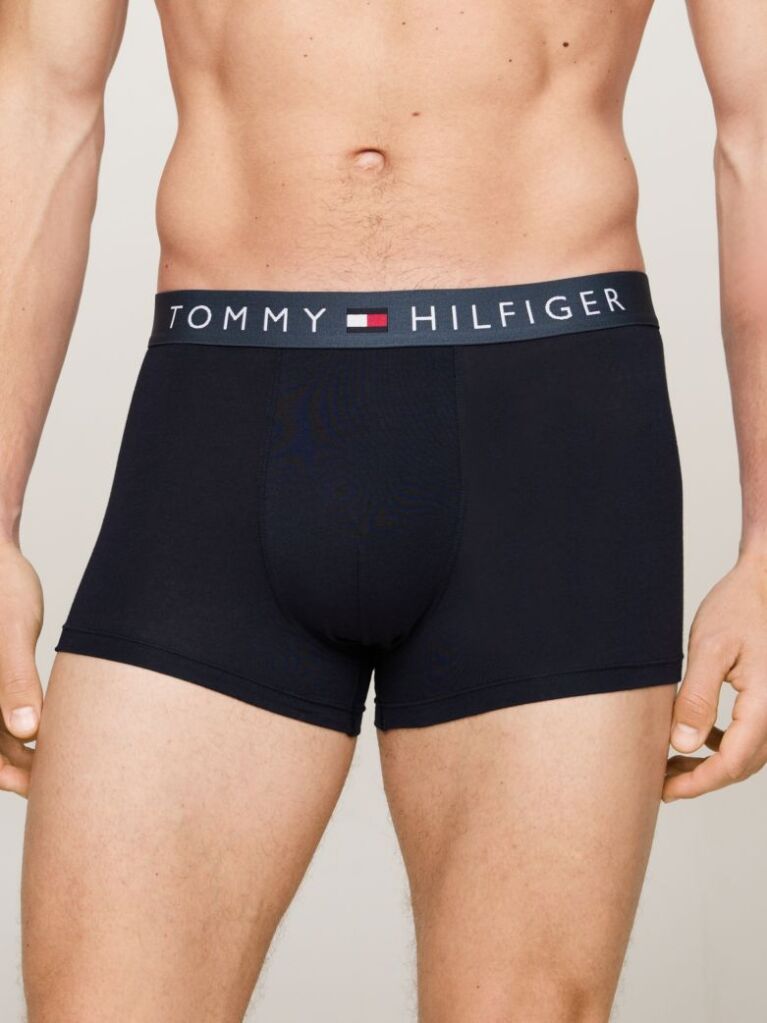 Multi 3-Pack TH Original Logo Waistband Trunks  Men
