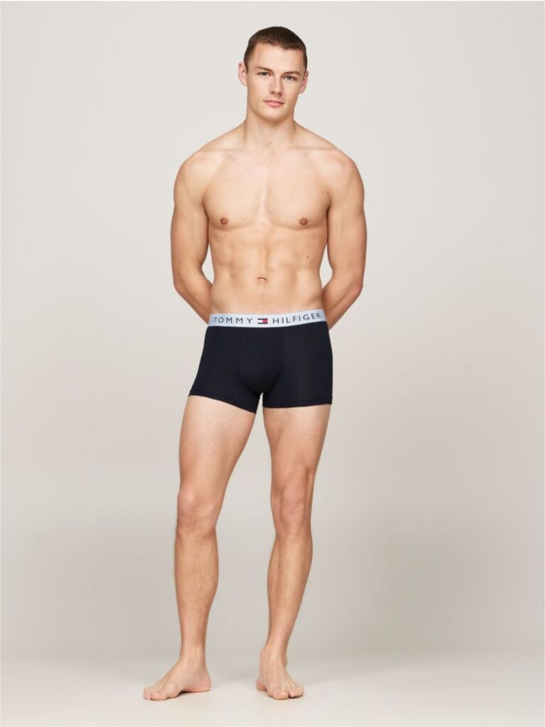Multi 3-Pack TH Original Logo Waistband Trunks  Men