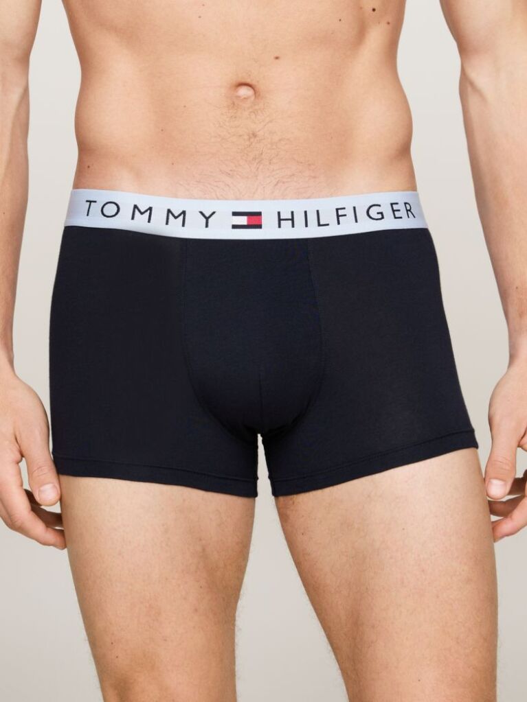 Multi 3-Pack TH Original Logo Waistband Trunks  Men