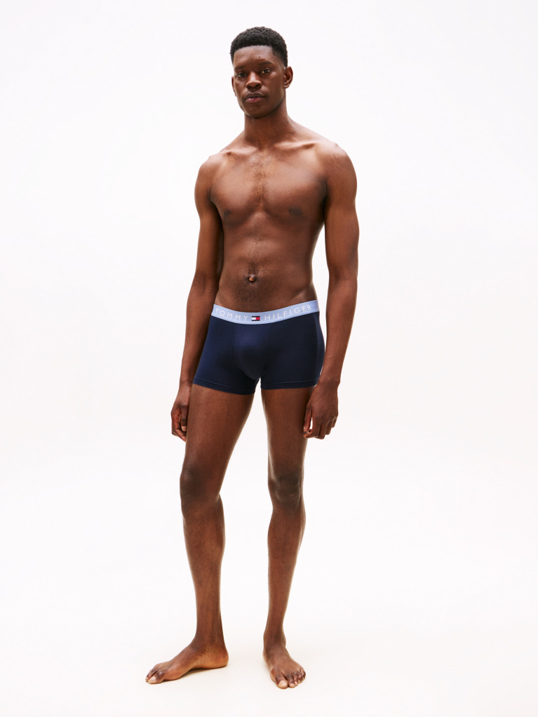 Multi 3-Pack TH Original Logo Waistband Trunks  Men