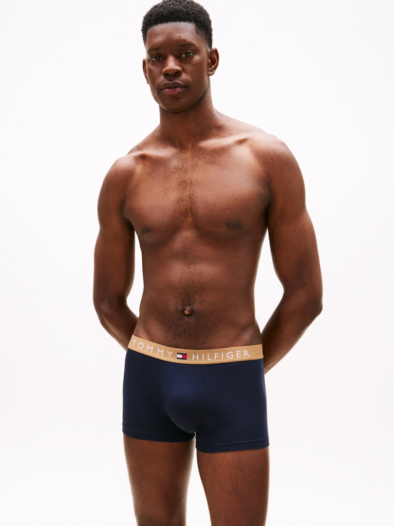 Multi 3-Pack TH Original Logo Waistband Trunks  Men