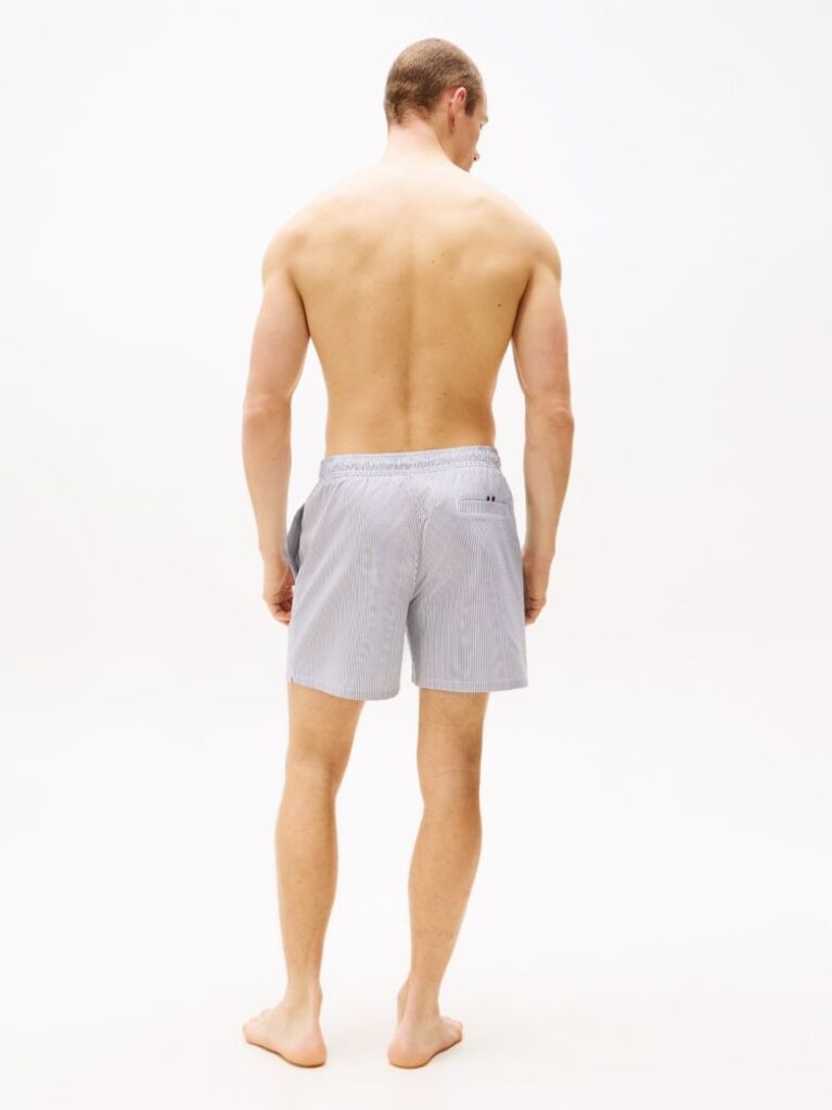 Multi Original Ithaca Stripe Mid Length Swim Shorts  Men