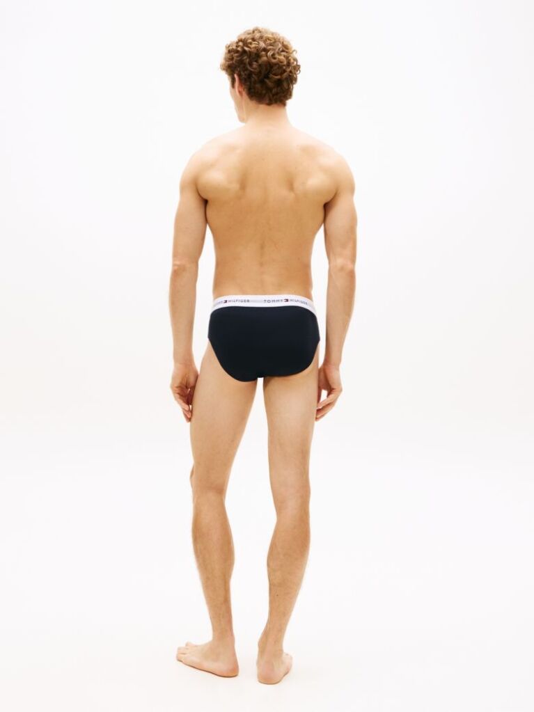 Multi 3-Pack Signature Logo Waistband Briefs  Men