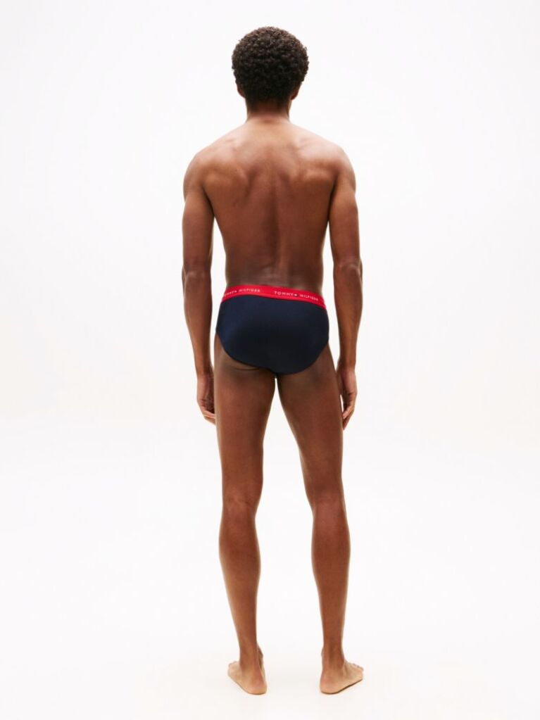 Multi 3-Pack Signature Logo Waistband Briefs  Men