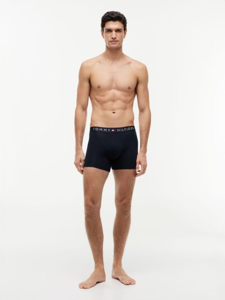 Multi 3-Pack TH Original Logo Boxer Briefs  Men