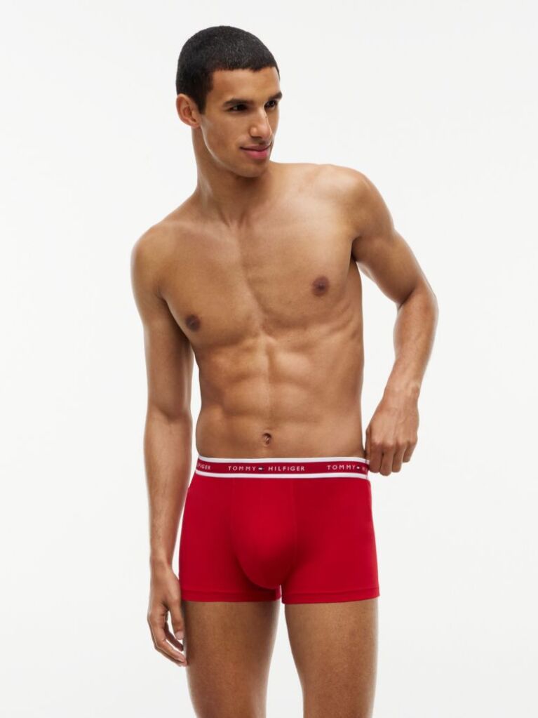 Multi 3-Pack Signature Logo Waistband Trunks  Men